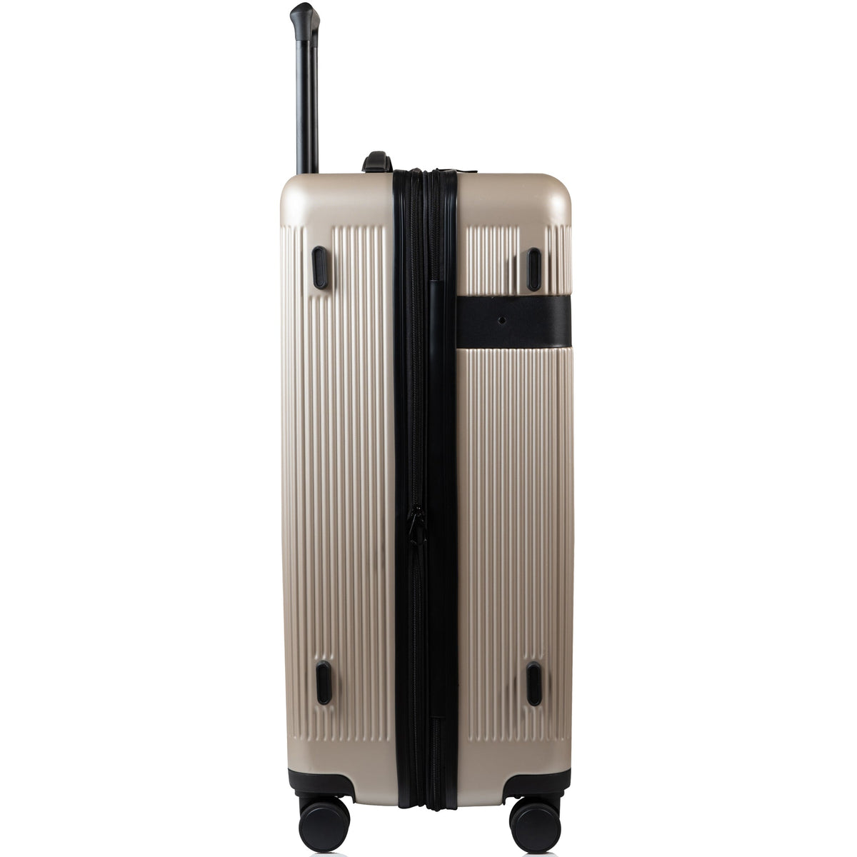 Onyx II / Large